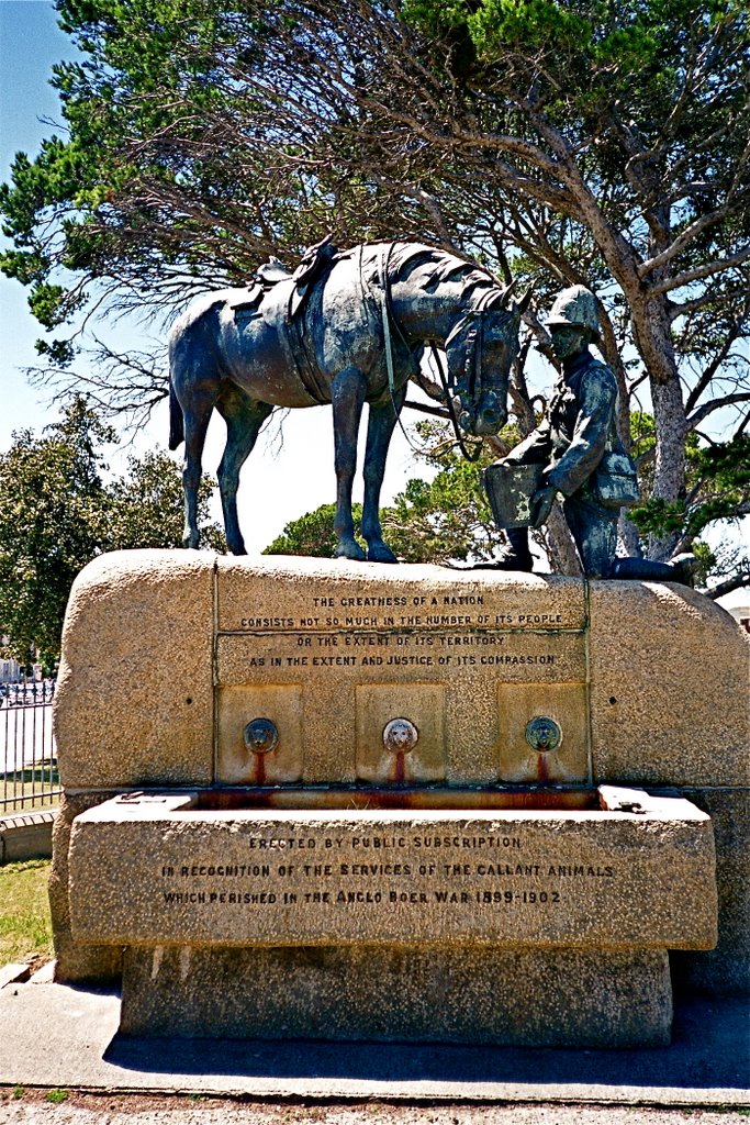 Horse Memorial, Port Elizabeth, Eastern Cape, South Africa (12138794)