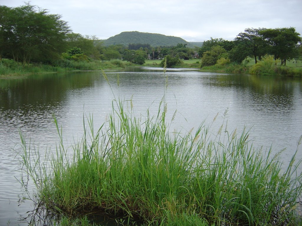 Sabi River Sun - Mpumalanga