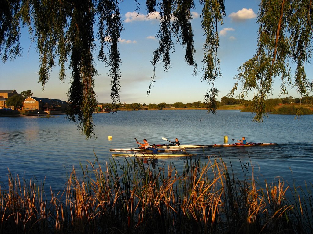 Four rowing boats on Lake Umuzi at sunset