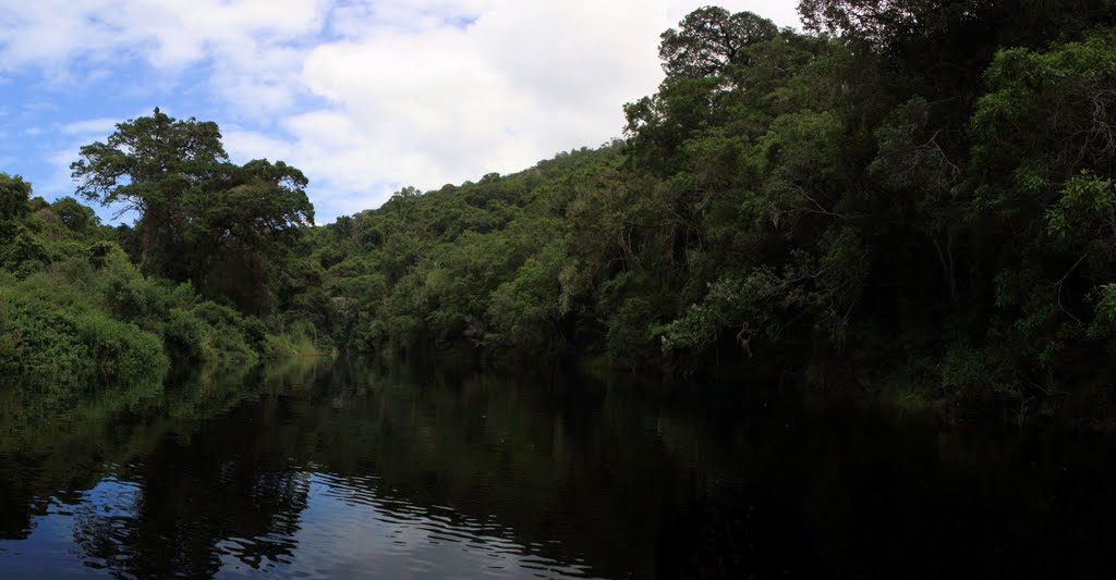 Canoeing on the Touwsrivier