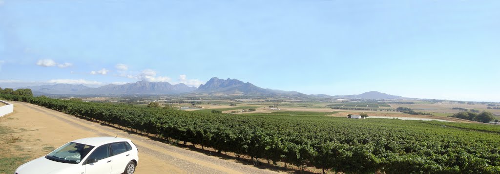 Cape Winelands: Seidelberg Wine Estate, Agter Paarl - view across the Agter Paarl Valley towards Cape Town, from the terraces