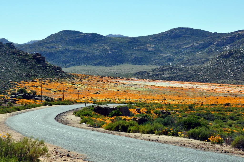 South Africa : Between Okiep and Concordia