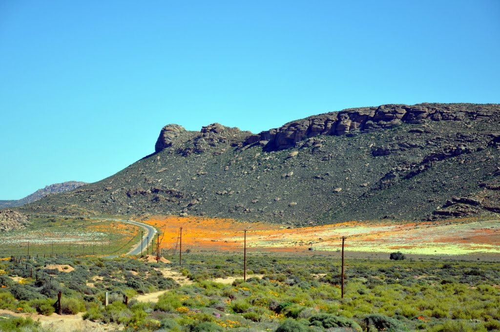 South Africa : Between Okiep and Concordia