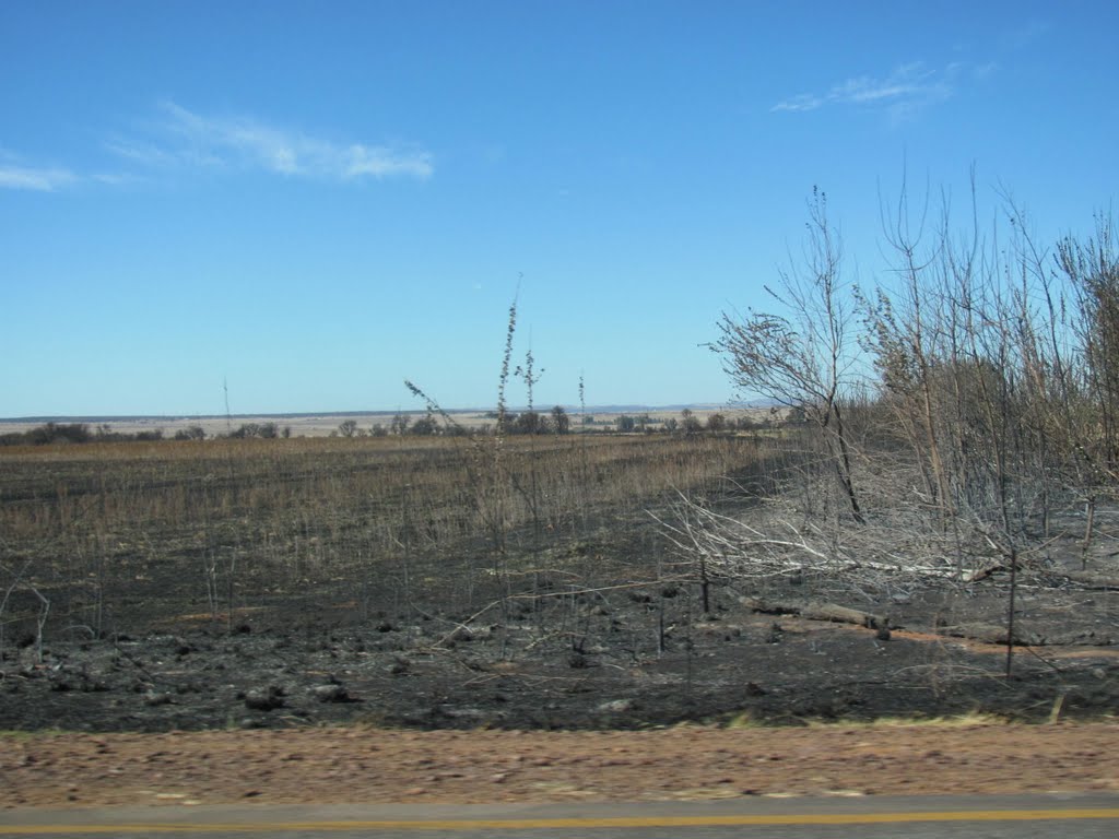 Fochville after the veld fires