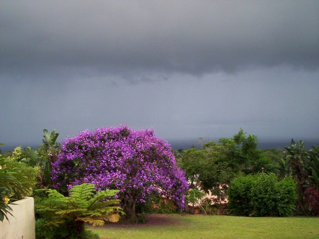 Before the storm, Margate, KwaZulu-Natal, South Africa