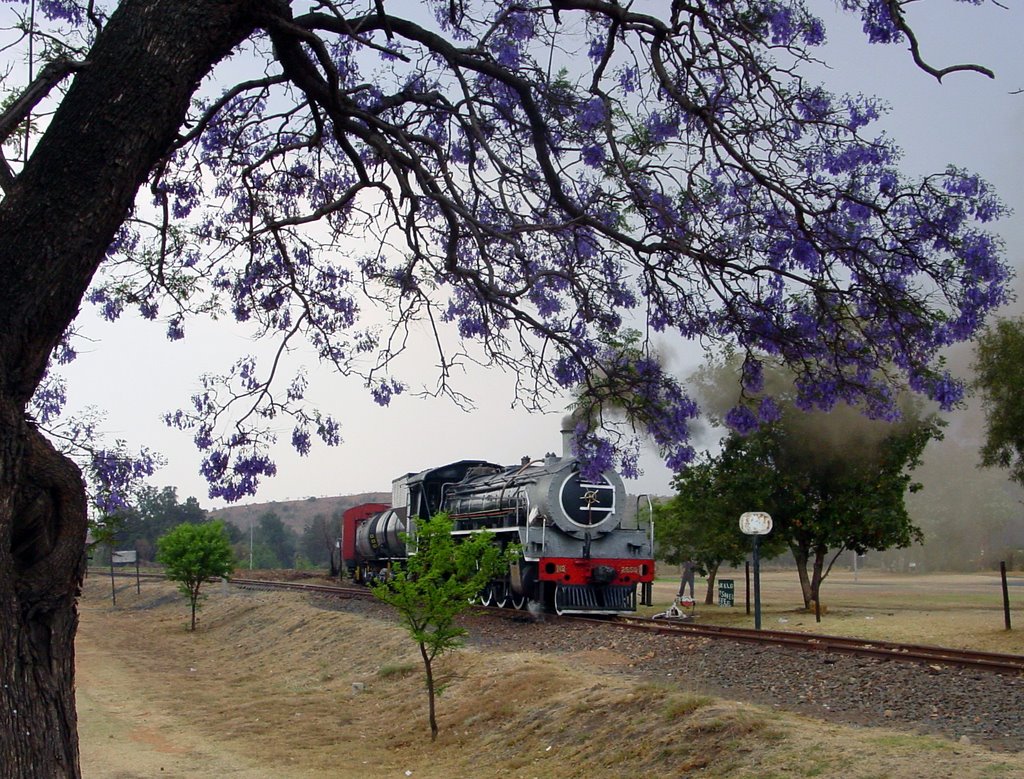Cullinan Steam Locomotive, South Africa