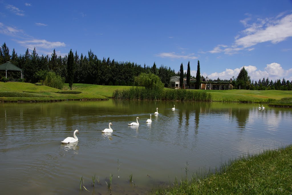 Magersfontein golf estate