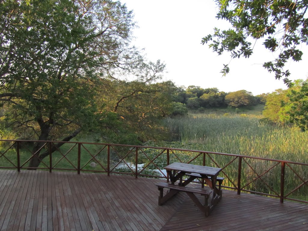 View over wetland from restaurant deck - Ntshondwe Camp