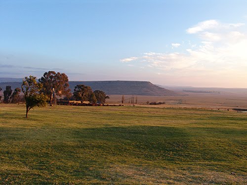 Near Kestell in the Free State, South Africa